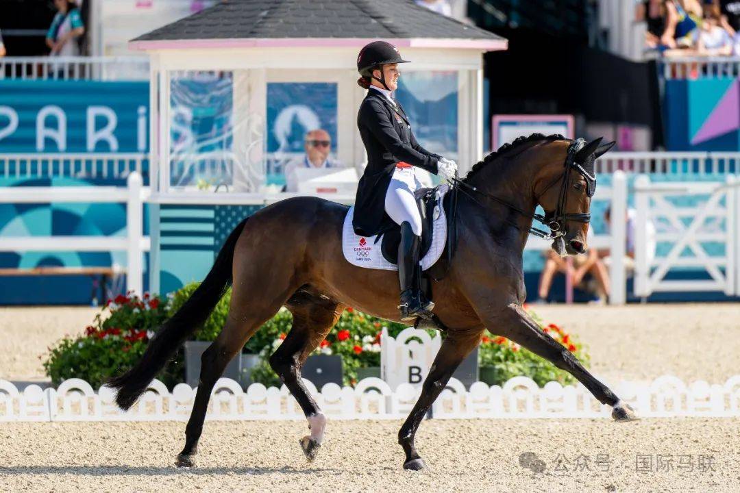 开云体育下载-关于丹麦凭借一场胜利成功登顶，成为赛事之王的信息